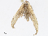  ( - CBG-A08749-E06)  @11 [ ] CreativeCommons - Attribution Share - Alike (2023) CBG Photography Group Centre for Biodiversity Genomics
