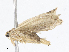  ( - CBG-A08798-B05)  @11 [ ] CreativeCommons - Attribution Share - Alike (2023) CBG Photography Group Centre for Biodiversity Genomics