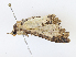  ( - CBG-A08798-D08)  @11 [ ] CreativeCommons - Attribution Share - Alike (2023) CBG Photography Group Centre for Biodiversity Genomics