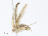  ( - CBG-A08798-E08)  @11 [ ] CreativeCommons - Attribution Share - Alike (2023) CBG Photography Group Centre for Biodiversity Genomics