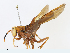  ( - CBG-A10766-D08)  @11 [ ] CreativeCommons - Attribution Share - Alike (2023) CBG Photography Group Centre for Biodiversity Genomics