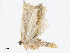  ( - CBG-A10766-F06)  @11 [ ] CreativeCommons - Attribution Share - Alike (2023) CBG Photography Group Centre for Biodiversity Genomics
