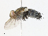  ( - CBG-A10769-A03)  @11 [ ] CreativeCommons - Attribution Share-Alike (2023) CBG Photography Group Centre for Biodiversity Genomics