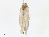  ( - CBG-A10769-B06)  @11 [ ] CreativeCommons - Attribution Share-Alike (2023) CBG Photography Group Centre for Biodiversity Genomics