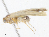  ( - CBG-A10770-D08)  @11 [ ] CreativeCommons - Attribution Share - Alike (2023) CBG Photography Group Centre for Biodiversity Genomics