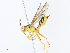  ( - CBG-A10771-B12)  @11 [ ] CreativeCommons - Attribution Share - Alike (2023) CBG Photography Group Centre for Biodiversity Genomics