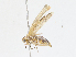  ( - CBG-A13242-B04)  @11 [ ] CreativeCommons - Attribution Share - Alike (2023) CBG Photography Group Centre for Biodiversity Genomics
