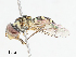  ( - CBG-A13244-F12)  @11 [ ] CreativeCommons - Attribution Share - Alike (2023) CBG Photography Group Centre for Biodiversity Genomics