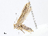  ( - CBG-A13245-E11)  @11 [ ] CreativeCommons - Attribution Share - Alike (2023) CBG Photography Group Centre for Biodiversity Genomics