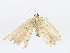  ( - CBG-A13291-B05)  @11 [ ] CreativeCommons - Attribution Share - Alike (2023) CBG Photography Group Centre for Biodiversity Genomics