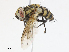  ( - CBG-A13291-G03)  @11 [ ] CreativeCommons - Attribution Share - Alike (2023) CBG Photography Group Centre for Biodiversity Genomics