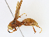  ( - CBG-A14957-D09)  @11 [ ] CreativeCommons - Attribution Share - Alike (2023) CBG Photography Group Centre for Biodiversity Genomics