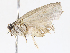  ( - CBG-A13305-A06)  @11 [ ] CreativeCommons - Attribution Share - Alike (2023) CBG Photography Group Centre for Biodiversity Genomics