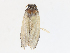 ( - CBG-A13306-A02)  @11 [ ] CreativeCommons - Attribution Share - Alike (2023) CBG Photography Group Centre for Biodiversity Genomics