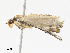  ( - CBG-A13306-A06)  @11 [ ] CreativeCommons - Attribution Share - Alike (2023) CBG Photography Group Centre for Biodiversity Genomics