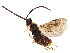  ( - BIOUG28227-E07)  @11 [ ] CreativeCommons - Attribution Share - Alike (2023) CBG Photography Group Centre for Biodiversity Genomics