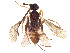  ( - BIOUG28560-D10)  @11 [ ] CreativeCommons - Attribution Share - Alike (2023) CBG Photography Group Centre for Biodiversity Genomics