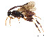  ( - BIOUG28563-E04)  @11 [ ] CreativeCommons - Attribution Share - Alike (2023) CBG Photography Group Centre for Biodiversity Genomics