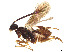  ( - BIOUG28757-A09)  @11 [ ] CreativeCommons - Attribution Share - Alike (2023) CBG Photography Group Centre for Biodiversity Genomics