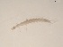  (Gyrinus marginellus - BIOUG01315-C12)  @13 [ ] Unspecified (default): All Rights Reserved  Unspecified Unspecified