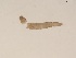 ( - BIOUG01315-E05)  @12 [ ] Unspecified (default): All Rights Reserved  Unspecified Unspecified