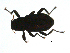  ( - BIOUG02701-C02)  @13 [ ] CreativeCommons - Attribution (2012) Gillian Martin Centre for Biodiversity Genomics