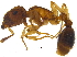  ( - BIOUG21398-F06)  @15 [ ] CreativeCommons - Attribution (2015) CBG Photography Group Centre for Biodiversity Genomics