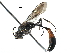 ( - BIOUG24321-C10)  @12 [ ] CreativeCommons - Attribution (2016) CBG Photography Group Centre for Biodiversity Genomics