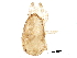  ( - BIOUG26202-G11)  @11 [ ] CreativeCommons - Attribution (2016) CBG Photography Group Centre for Biodiversity Genomics
