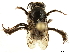  ( - BIOUG24885-H08)  @12 [ ] CreativeCommons - Attribution (2019) CBG Photography Group Centre for Biodiversity Genomics
