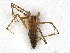  ( - CBG-A27640-H03)  @11 [ ] CreativeCommons - Attribution Share-Alike (2024) CBG Photography Group Centre for Biodiversity Genomics