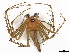  ( - BIOUG95293-H11)  @11 [ ] CreativeCommons - Attribution Share - Alike (2023) CBG Photography Group Centre for Biodiversity Genomics