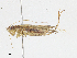  ( - CBG-A10789-E04)  @11 [ ] CreativeCommons - Attribution Share - Alike (2023) CBG Photography Group Centre for Biodiversity Genomics