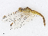  ( - CBG-A10789-G09)  @11 [ ] CreativeCommons - Attribution Share - Alike (2023) CBG Photography Group Centre for Biodiversity Genomics