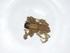  (Lycosa bistriata - CBG-A18032-C12)  @11 [ ] CreativeCommons - Attribution Share - Alike (2023) Centre for Biodiversity Genomics Centre for Biodiversity Genomics