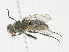  ( - BIOUG95293-F10)  @11 [ ] CreativeCommons - Attribution Share-Alike (2023) CBG Photography Group Centre for Biodiversity Genomics