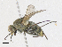  ( - BIOUG95294-D02)  @11 [ ] CreativeCommons - Attribution Share-Alike (2023) CBG Photography Group Centre for Biodiversity Genomics