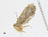  ( - BIOUG95295-C07)  @11 [ ] CreativeCommons - Attribution Share-Alike (2023) CBG Photography Group Centre for Biodiversity Genomics