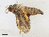  ( - BIOUG95295-F11)  @11 [ ] CreativeCommons - Attribution Share-Alike (2023) CBG Photography Group Centre for Biodiversity Genomics