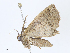  ( - CBG-A10790-C10)  @11 [ ] CreativeCommons - Attribution Share - Alike (2023) CBG Photography Group Centre for Biodiversity Genomics