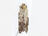  ( - CBG-A10790-E01)  @11 [ ] CreativeCommons - Attribution Share - Alike (2023) CBG Photography Group Centre for Biodiversity Genomics
