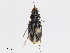  ( - CBG-A10791-C02)  @11 [ ] CreativeCommons - Attribution Share - Alike (2023) CBG Photography Group Centre for Biodiversity Genomics