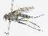  ( - CBG-A10829-A01)  @11 [ ] CreativeCommons - Attribution Share - Alike (2023) CBG Photography Group Centre for Biodiversity Genomics