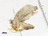  ( - BIOUG95296-G10)  @11 [ ] CreativeCommons - Attribution Share-Alike (2023) CBG Photography Group Centre for Biodiversity Genomics
