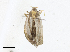  ( - BIOUG95296-H02)  @11 [ ] CreativeCommons - Attribution Share-Alike (2023) CBG Photography Group Centre for Biodiversity Genomics