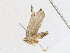  ( - BIOUG95297-B04)  @11 [ ] CreativeCommons - Attribution Share-Alike (2023) CBG Photography Group Centre for Biodiversity Genomics