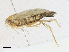  ( - BIOUG95297-D05)  @11 [ ] CreativeCommons - Attribution Share-Alike (2023) CBG Photography Group Centre for Biodiversity Genomics