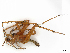 ( - CBG-A27638-H08)  @11 [ ] CreativeCommons - Attribution Share-Alike (2024) CBG Photography Group Centre for Biodiversity Genomics