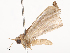  ( - CBG-B22938-D01)  @11 [ ] CreativeCommons - Attribution Share - Alike (2025) CBG Photography Group Centre for Biodiversity Genomics