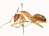  ( - CBG-B01005-B04)  @11 [ ] CreativeCommons - Attribution Share - Alike (2025) CBG Photography Group Centre for Biodiversity Genomics